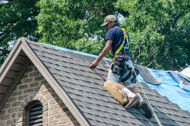 Professional Roofing Contractor in Dothan, AL